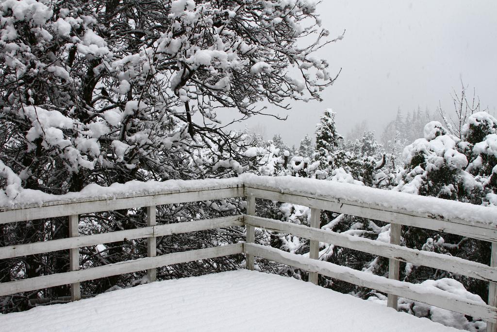 Pajaro Azul Bed & Breakfast San Carlos de Bariloche Ngoại thất bức ảnh