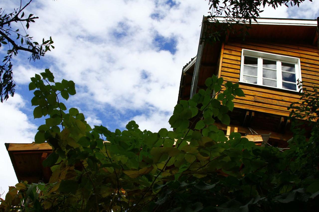 Pajaro Azul Bed & Breakfast San Carlos de Bariloche Ngoại thất bức ảnh